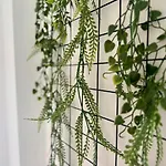 Familiennest Xxl - Direkt Am * Lychen