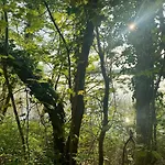 Familiennest Xxl - Direkt Am Lejlighed