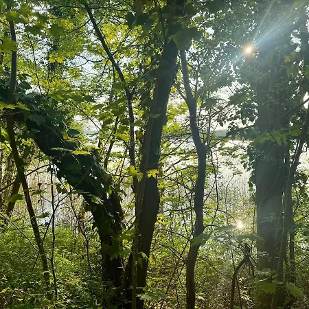 Familiennest Xxl - Direkt Am Apartment