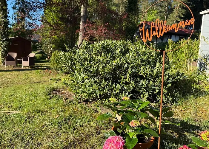 Familiennest Xxl - Direkt Am * Lychen