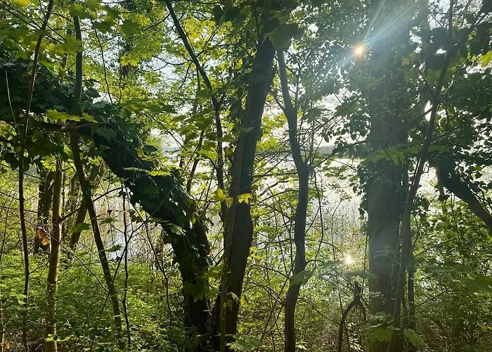 Familiennest Xxl - Direkt Am Lägenhet